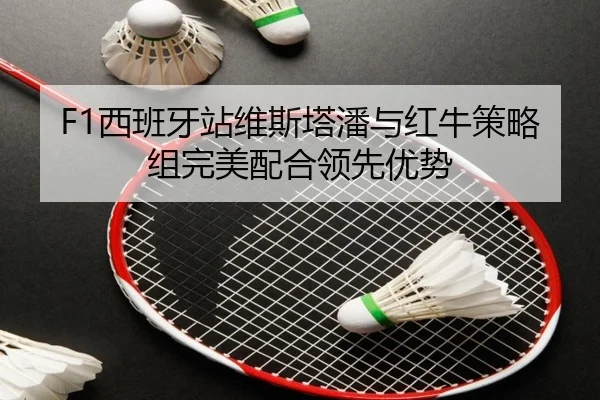 F1西班牙站维斯塔潘与红牛策略组完美配合领先优势