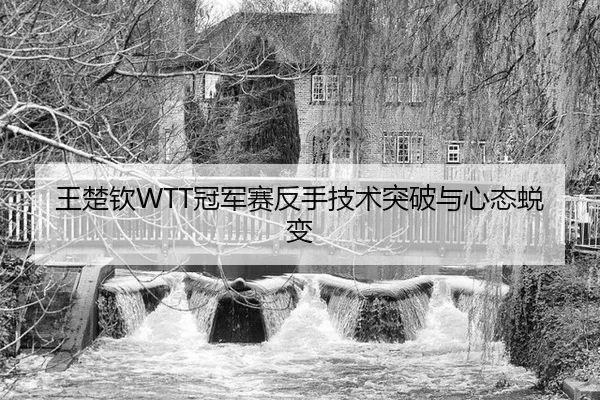 wang-chu-qin-guan-jun-sai-fan-shou-ji-shu-tu-po-yu-xin-tai-tui-bian-3-228.jpg
