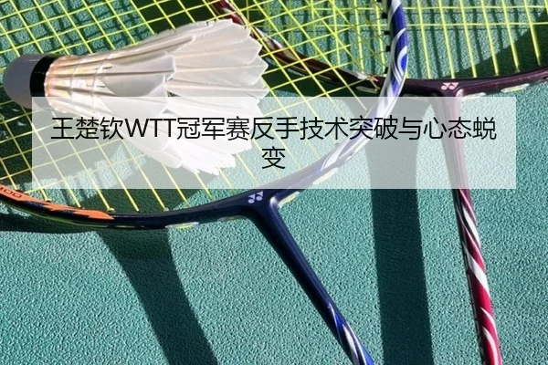 王楚钦WTT冠军赛反手技术突破与心态蜕变