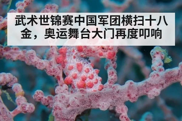 武术世锦赛中国军团横扫十八金,奥运舞台大门再度叩响
