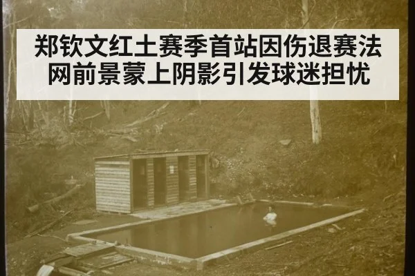 郑钦文红土赛季首站因伤退赛法网前景蒙上阴影引发球迷担忧